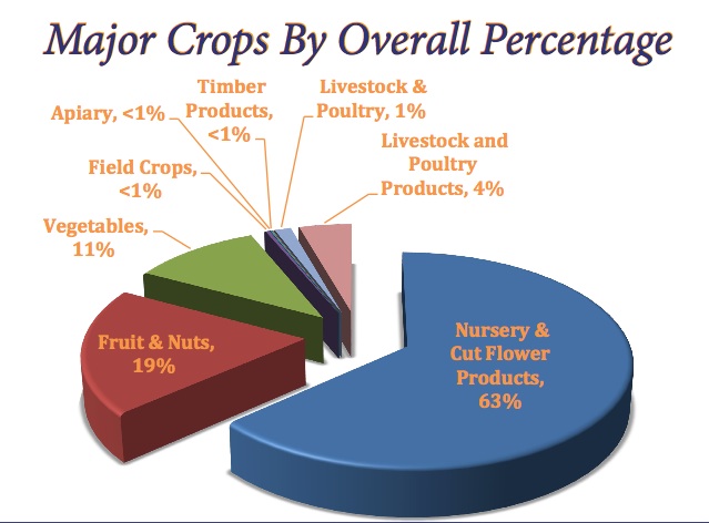 Major Crops