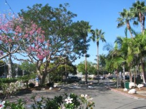 The plaza before the parking lot was painted. (Photo by Alison St John)