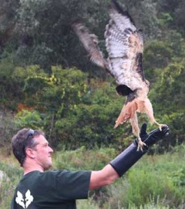 Project Wildlife was founded in San Diego in 1972 to rescue, rehabilitate and release San Diego’s wildlife and to provide wildlife education to the San Diego community.