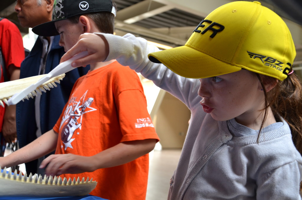 Youngster concentrates at last year's festival.