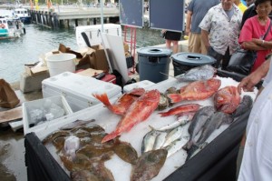 Tuna Harbor Dockside Market