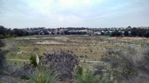 One Paseo site looking northeast toward Del Mar Heights Town Center. (Photo by Chris Jennewein)