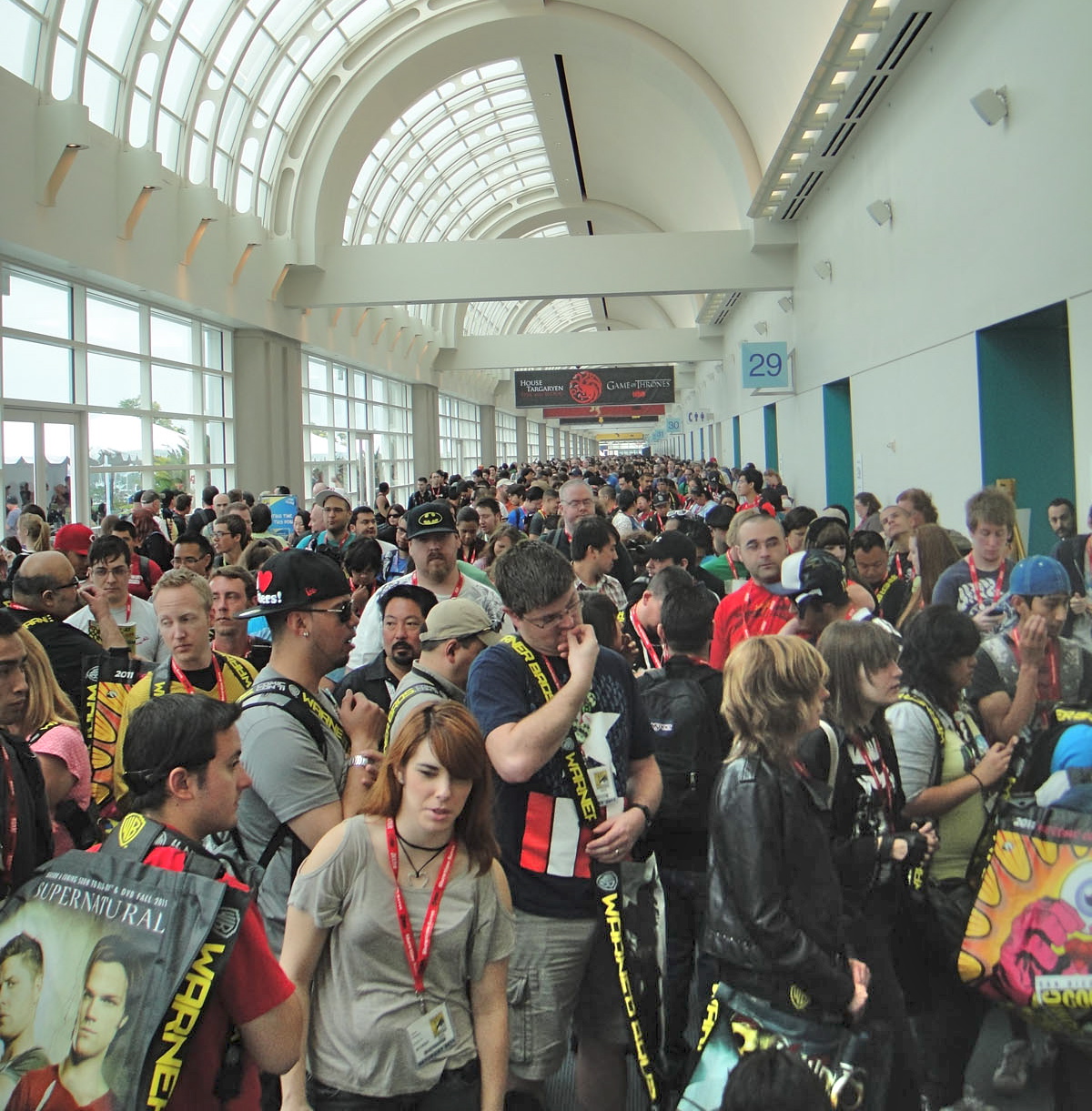 Comic-Con Crowd