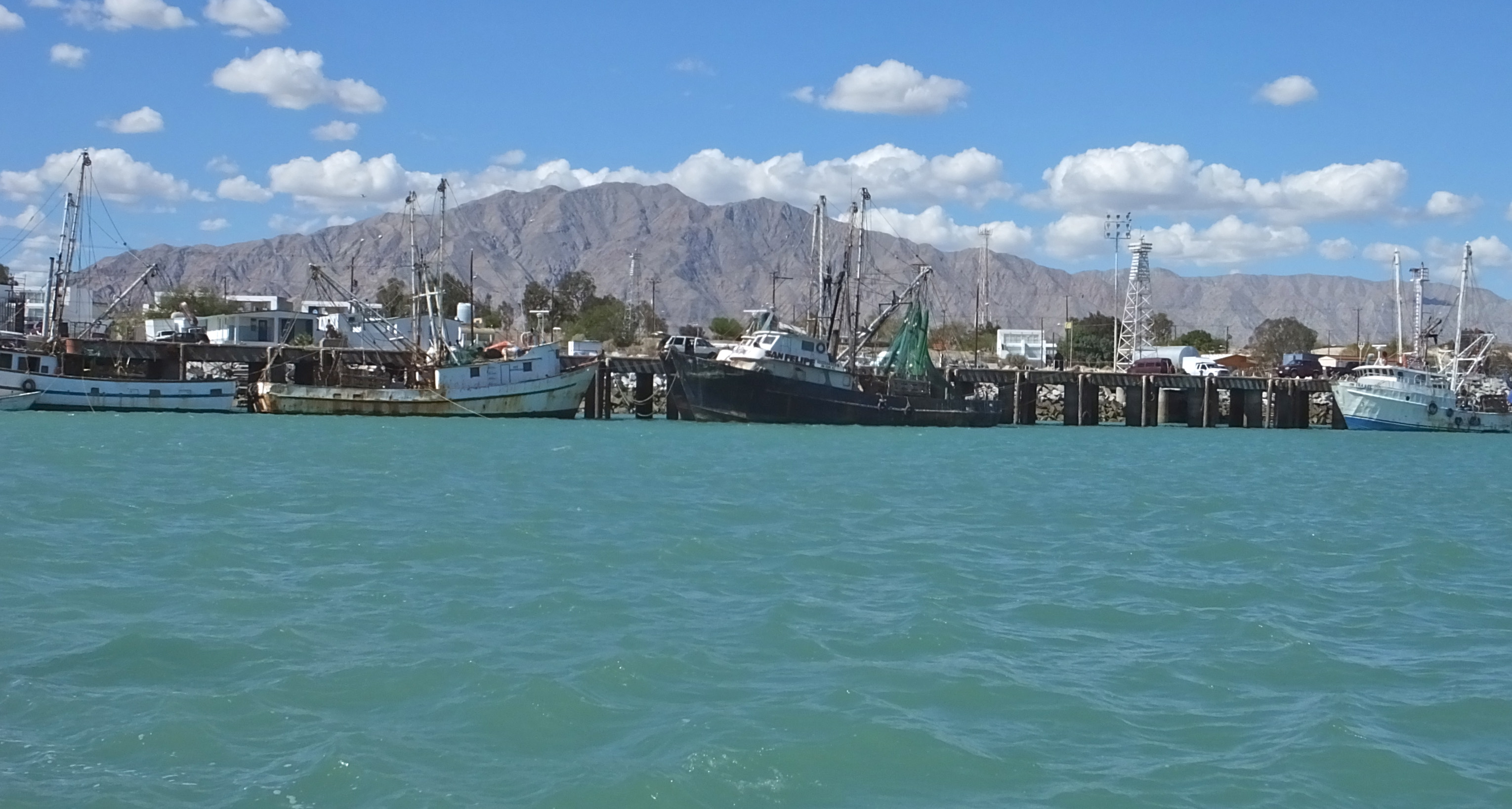 Some of the fishing boat fleet