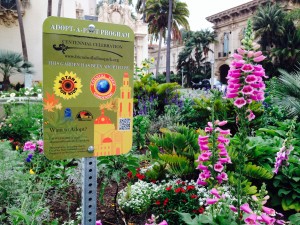 During the centennial year, the Adopt-a-Plot Program invites individuals, families, organizations and businesses to adopt a garden or landscape area within the park.  