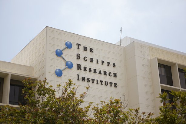 The Scripps Research Institute