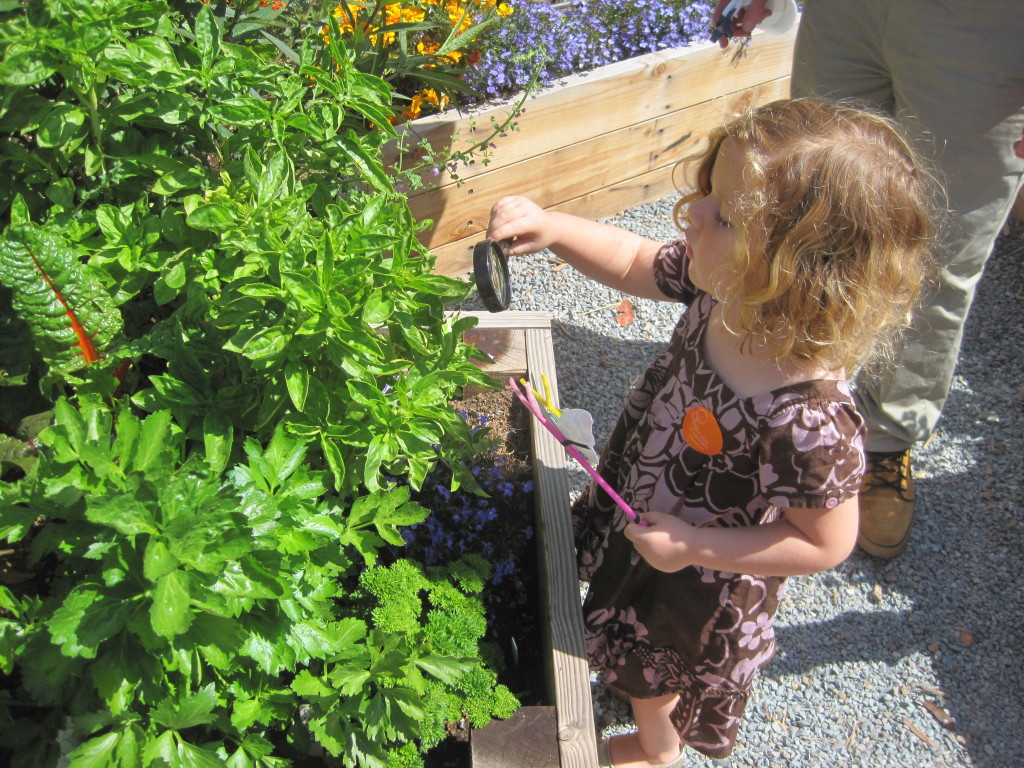 Children’s Museum’s Garden Project.