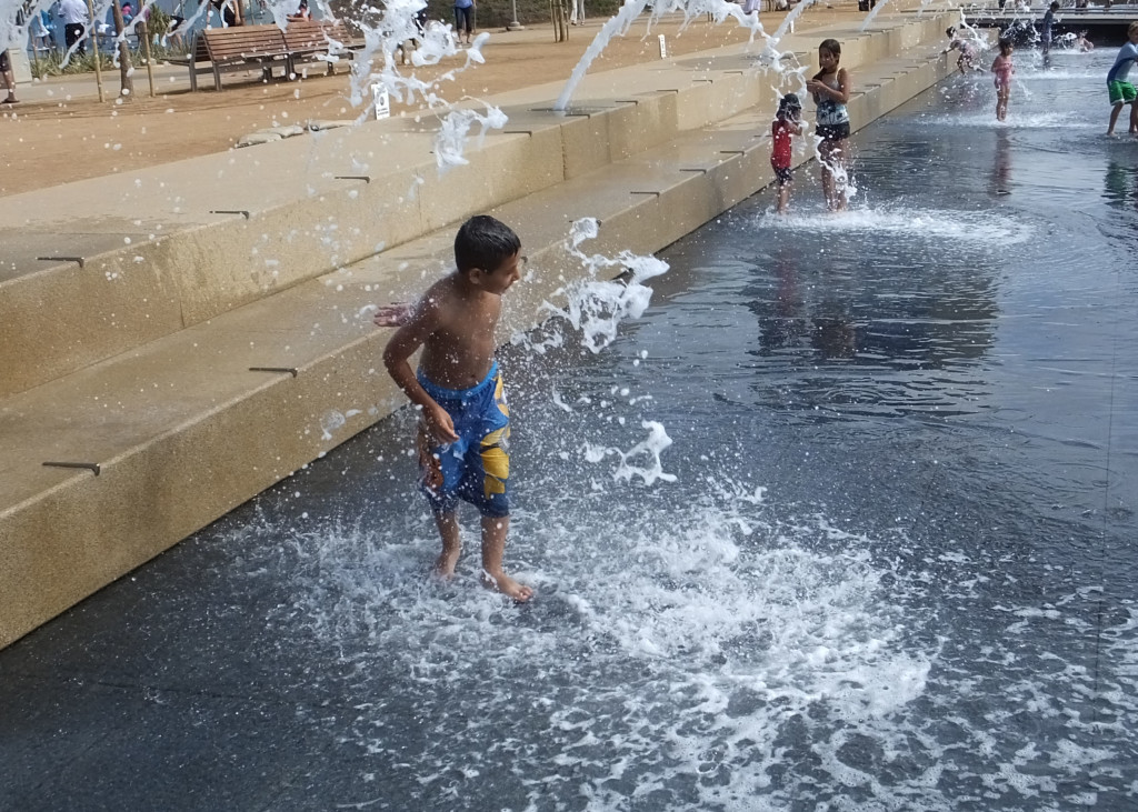 Some existing parks provide a programmed park experience catering to large events, such as Waterfront Park.