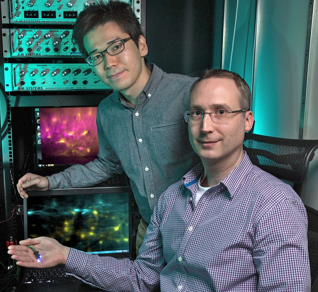 Salk researchers Kohei Sekiguchi , left, and Axel Nimmerjahn. (Salk Institute)