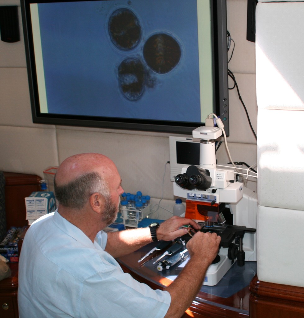 Dr. J. Craig Venter at the microscope. (Photo Credit: J. Craig Venter Institute)