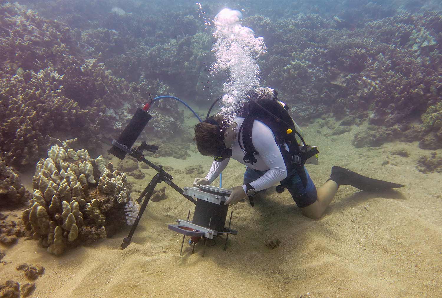 Underwater Microscope