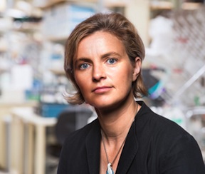 Clodagh O’Shea (Credit: Salk Institute)