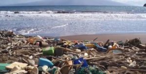 Debris on the beach is likely to find its way to the ocean.