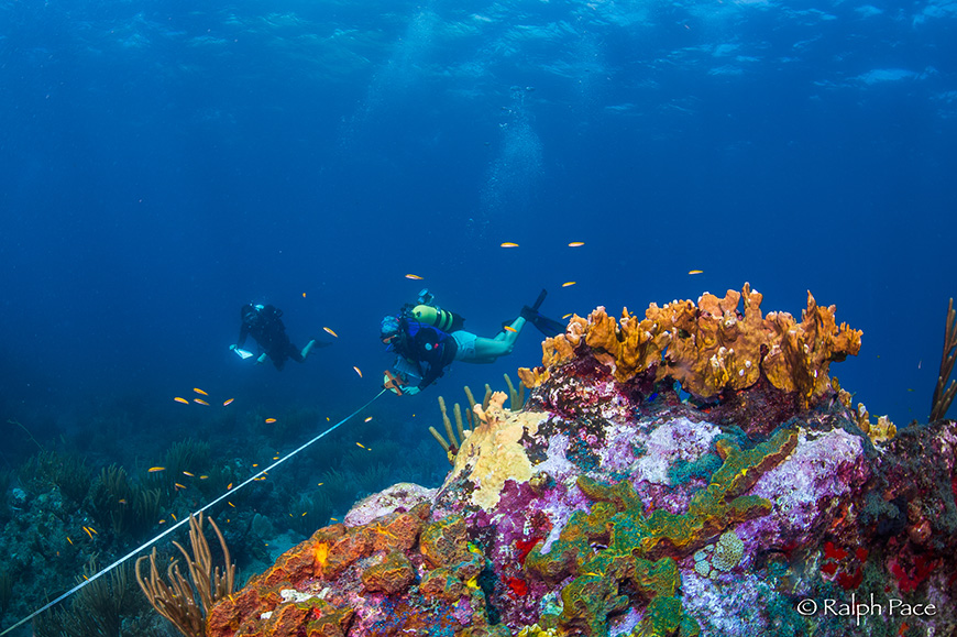 Associate professor Stuart Sandin (left) and staff researcher Lindsay Bonito of Scripps Oceanography’s Sandin Lab .