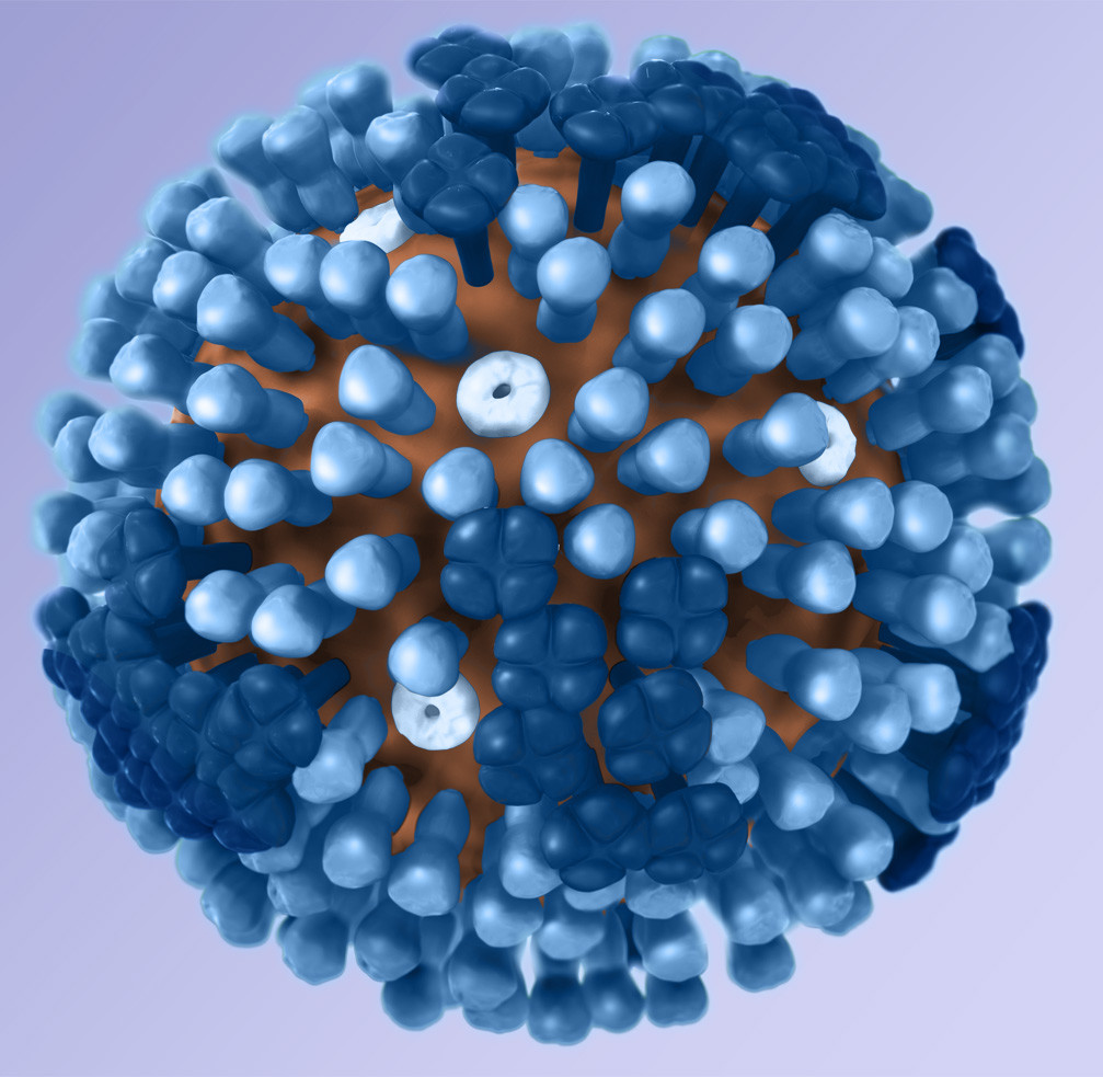 A 3-D microscopic image of a flu virus. Credit: Centers for Disease Control and Prevention. 