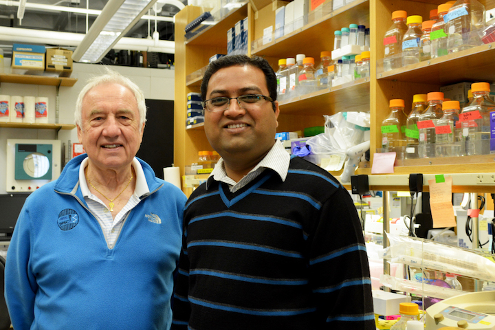 Professor Ian Wilson (left) and Senior Research Associate Rameshwar U. Kadam led the study at The Scripps Research Institute. (Photo by Madeline McCurry-Schmidt)