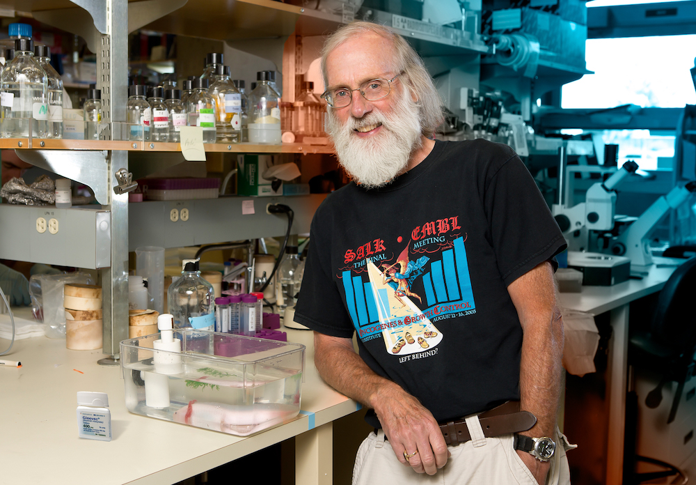 Salk Professor Tony Hunter will receive the award March 31 in Stockholm. (Credit: Salk Institute)