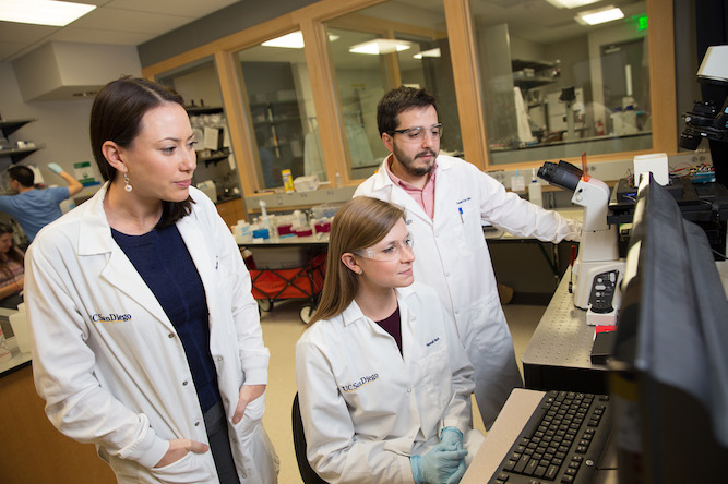 Stephanie Fraley, a professor of bioengineering at UC San Diego and graduate students Daniel Ortiz and Hannah Mack, reviewed DNA melt curve data generated by their new method. (Credit UCSD)