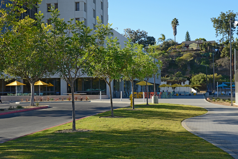 Driveway into the EF International Language Center in Point Loma. (This and other photos by Steve Muckley)