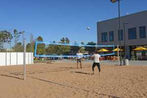 Volley Ball Court