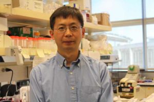 UC San Diego Bioengineering professor Kun Zhang (Courtesy UCSD)