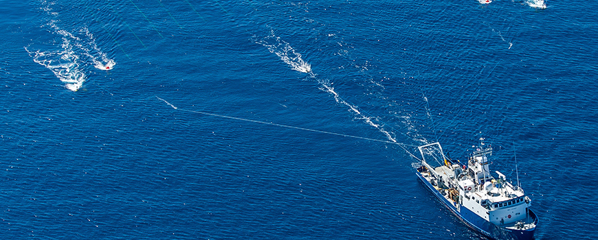 Scripps research vessel New Horizon tows a hydrophone array over the offshore fault. (Courtesy Scripps Institution of Oceanography)