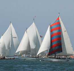 Regatta