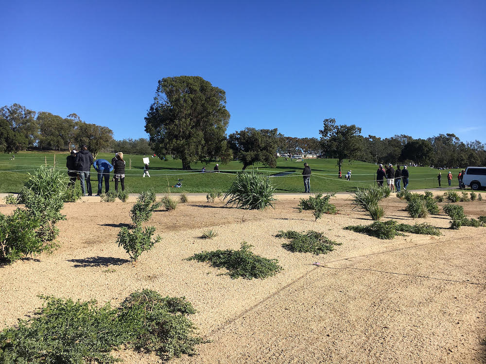 The Torrey Pines North 18-hole golf course has won a 2017 Project of the Year award.