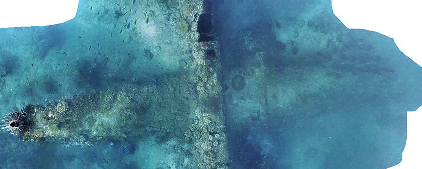 Photomosaic of downed B-25 bomber. (Image courtesy of Project Recover)