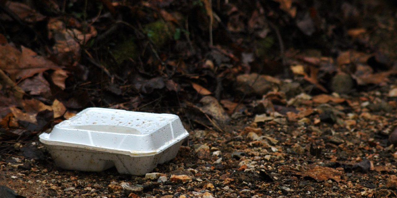 The foam plastic known as polystyrene is associated with myriad ecological hazards. It doesn’t biodegrade. It easily becomes litter because it’s so light. It breaks down into small plastic bits that flow into waterways and harm wildlife.