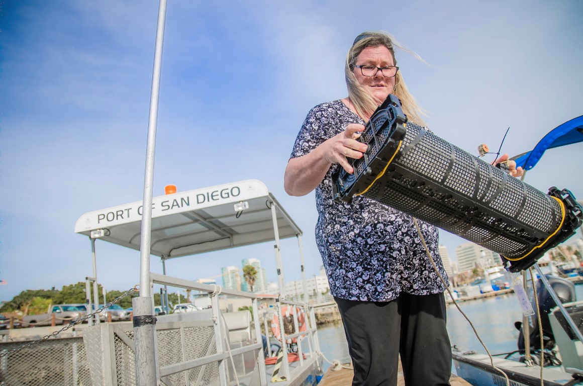 Paula Sylvia, program manager of Aquaculture & Blue Tech, Port of San Diego, checks a basket of juvenile oysters from the Port’s Oyster Nursery Research Project in Tuna Harbor.