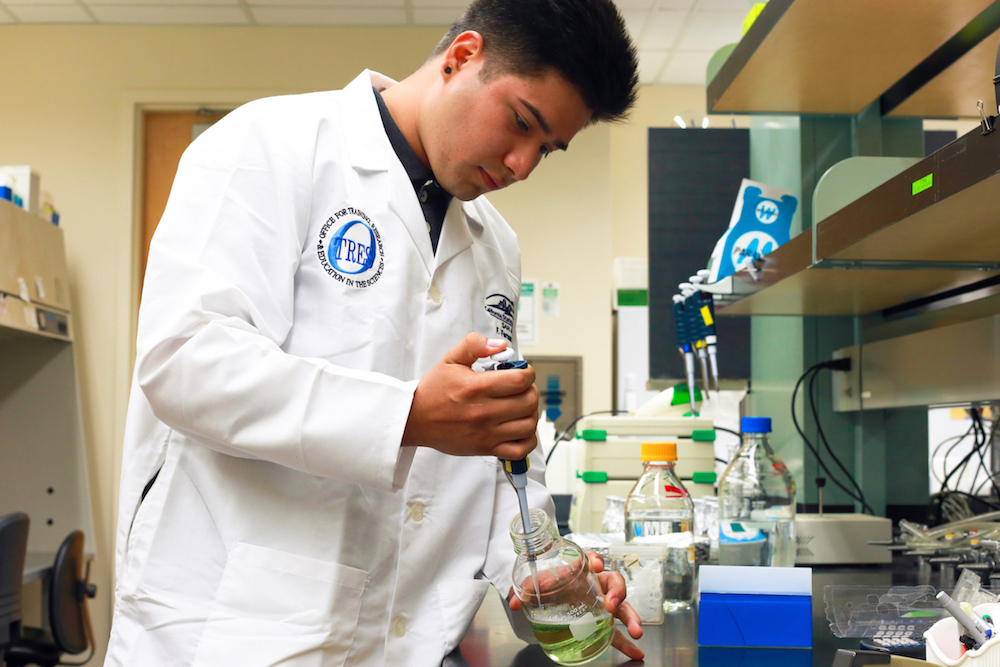 Francisco Fernandez works in the lab of professor of biological sciences Matthew Escobar. (Photo courtesy of Cal State San Marcos)