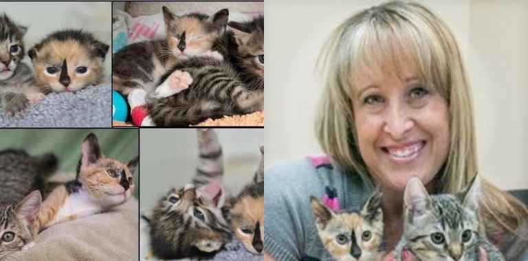 Karolyn Smith with her adopted, three-legged kitten Sophia, and friends.