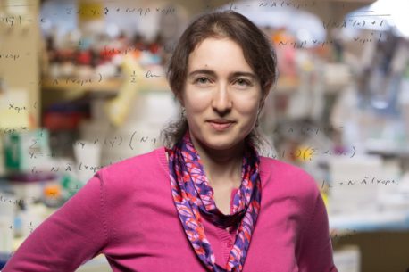 Salk Associate Professor Tatyana Sharpee