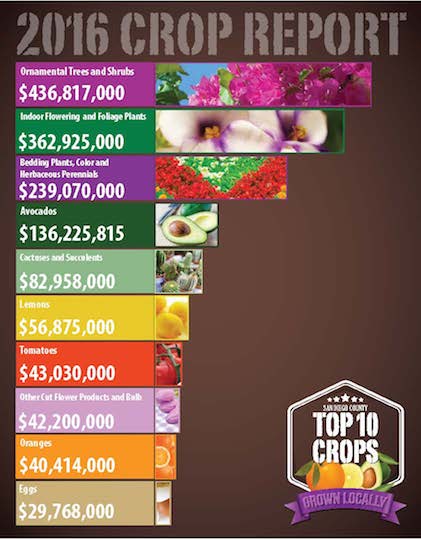 Top 10 crops of 2016