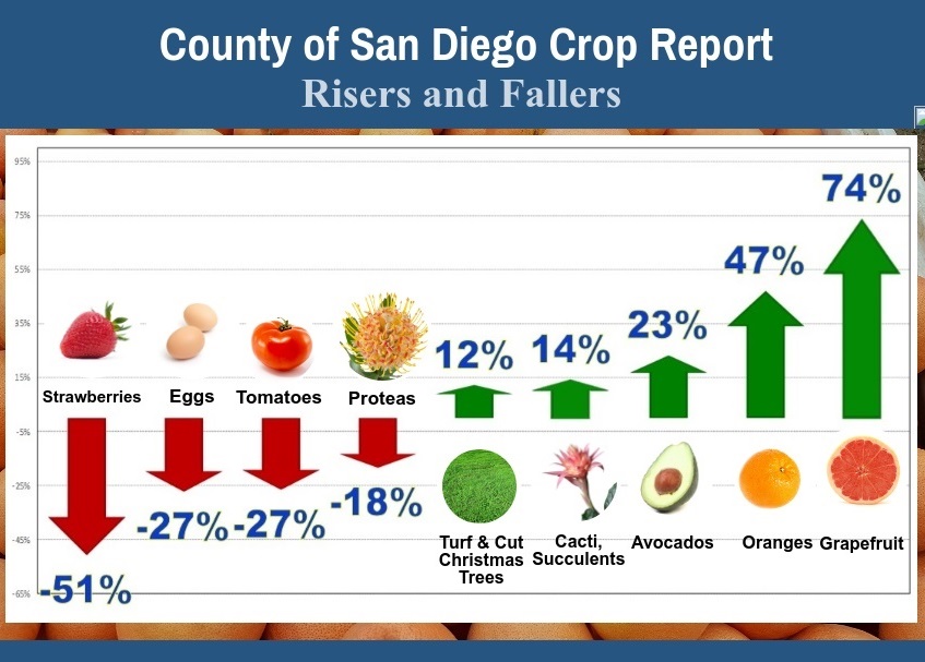 Crops that rose and fell during 2016