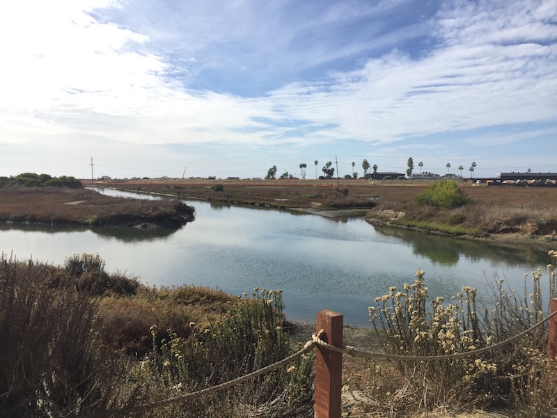 San Elijo Lagoon