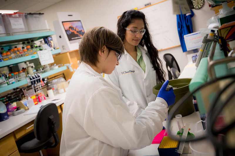 The mission of the Institute for Practical Ethics is to develop and promote cross-disciplinary research on ethical issues facing the public. (Photo by Erik Jepsen/UC San Diego Publications)