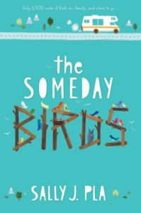 Book cover, 'The Someday Birds'