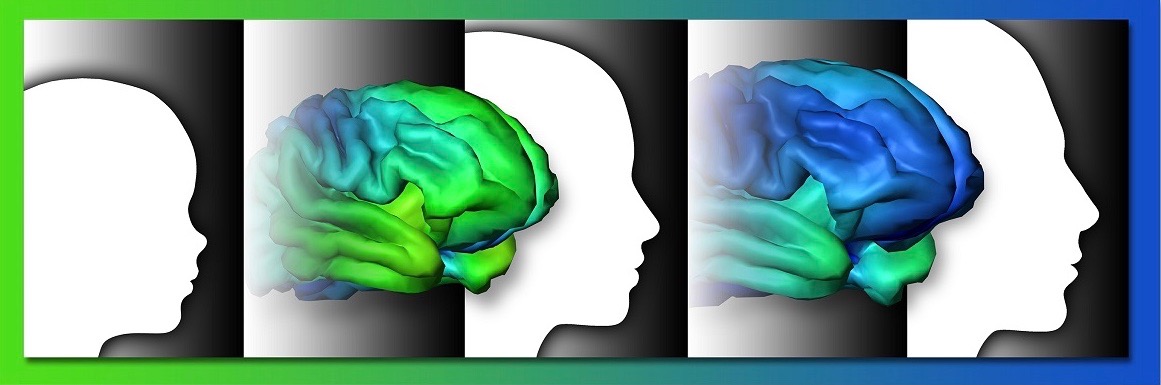 Adolescent Brain Cognitive Development (Illustration courtesy of UC San Diego)