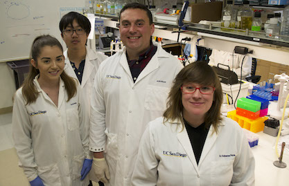 Co-authors of the new Science paper include (from left) UC San Diego undergraduate Sarah Medina, research volunteer Victor Li, Assistant Professor Justin Meyer and Assistant Teaching Professor Katherine Petrie. (Photo courtesy of UC San Diego)