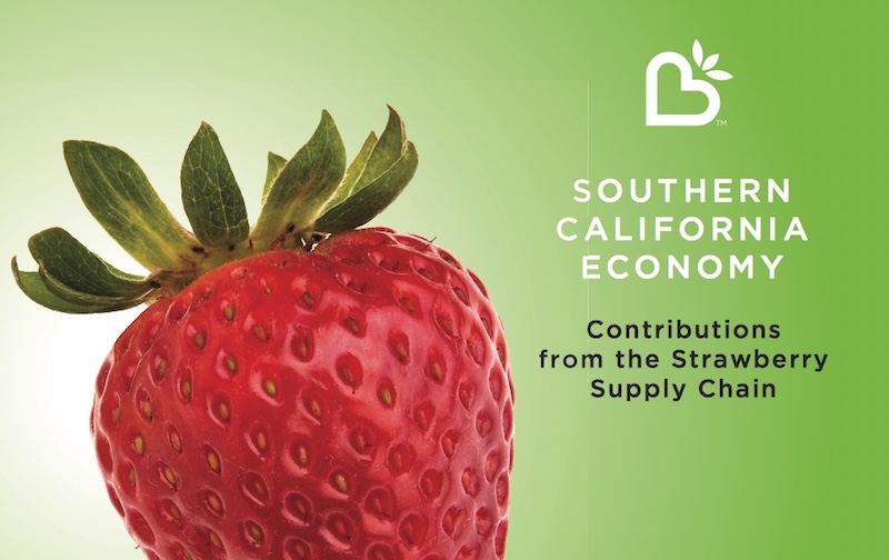 Graphic from the California Strawberry Commission