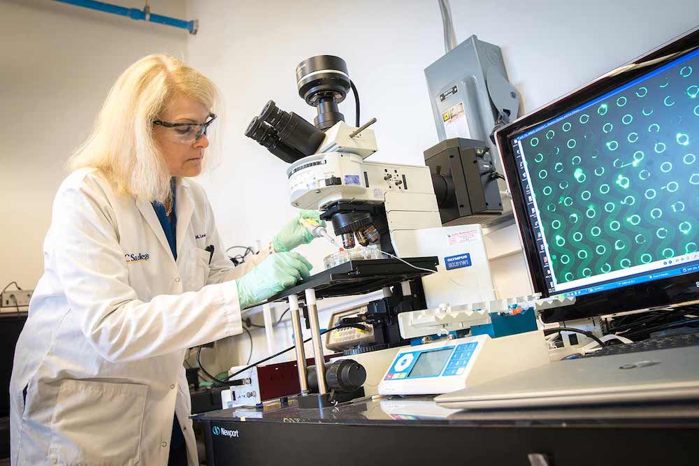 UC San Diego researchers have developed a test to screen for pancreatic cancer in a drop of blood. (Photo by David Baillo/UC San Diego Jacobs School of Engineering)