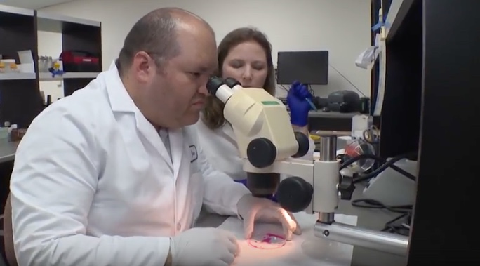 Inside Crime Lab. (Video image from County of San Diego)