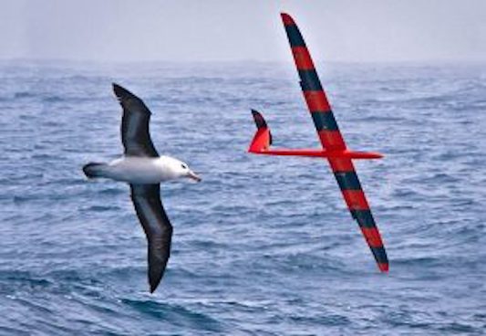 Credit: Phil Richardson, Woods Hole Oceanographic Institution