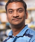 Associate Professor Sreekanth Chalasani