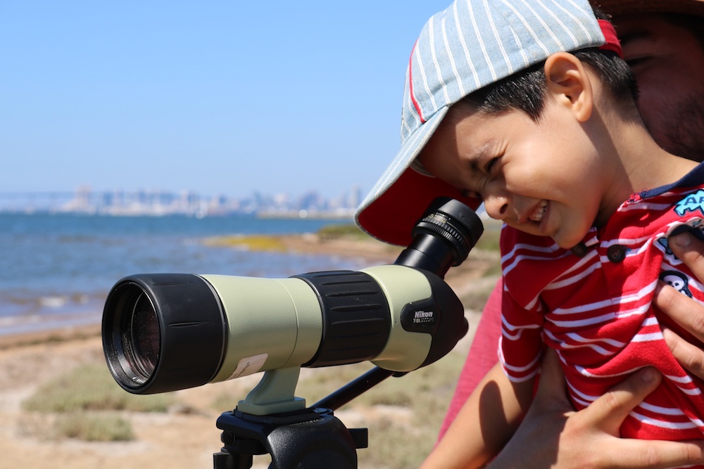 The Living Coast also partnered with the U.S. Fish & Wildlife Service, its neighbor on Sweetwater Marsh, for a special Urban National Wildlife Refuge Day on Sept. 29.