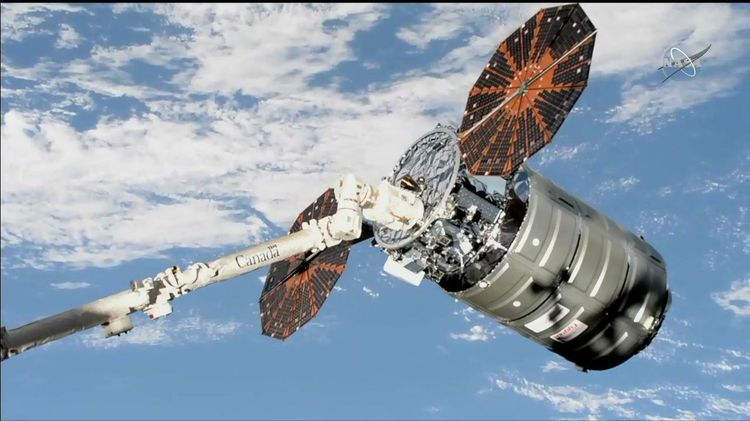 Northrop Grumman’s Cygnus spacecraft is shown moments after capture by the International Space Station’s robotic arm. (Credit: NASA TV)