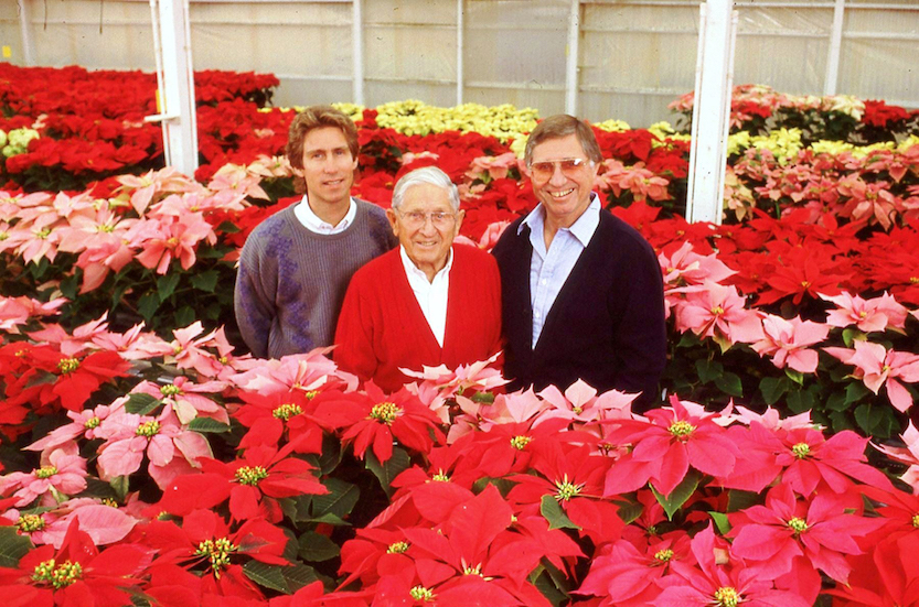 Paul Ecke III, Paul Ecke Sr. and Paul Ecke Jr. stand among the poinsettias grown at Ecke Ranch in Encinitas. Photo courtesy of Paul Ecke III.