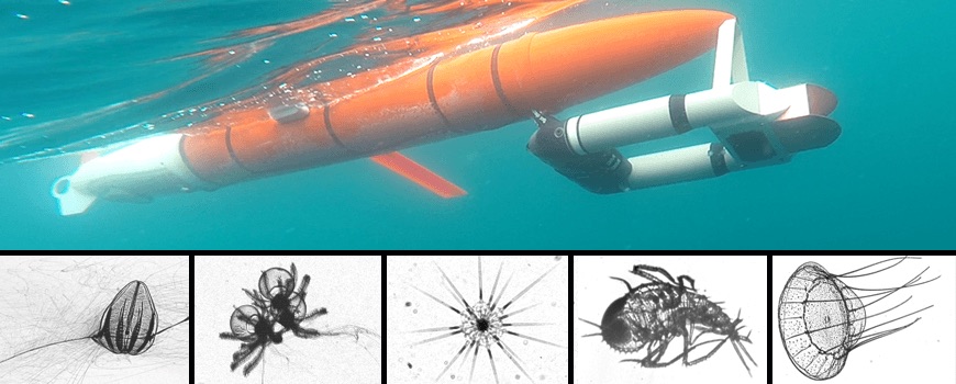 Zooglider (top) with a selection of zooplankton imagery the robot has captured. (Top photo: Benjamin Whitmore)